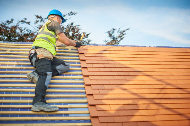 Best Roof Maintenance and Cleaning  in Lodi, OH